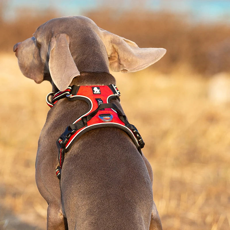 Arnés para Perros de Nylon Reflectante Truelove sin Tirones Ajustable Mediano Grande para Perros Traviesos Chaleco de Seguridad para Coche Correr Pasear