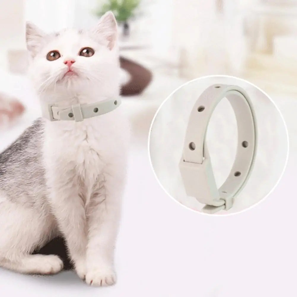 Adjustable Flea Tick Collar For Cats Dogs Anti Flea Lice Pet Repellent Collar Safe Non Toxic For Small Dogs Cats Kittens Puppies