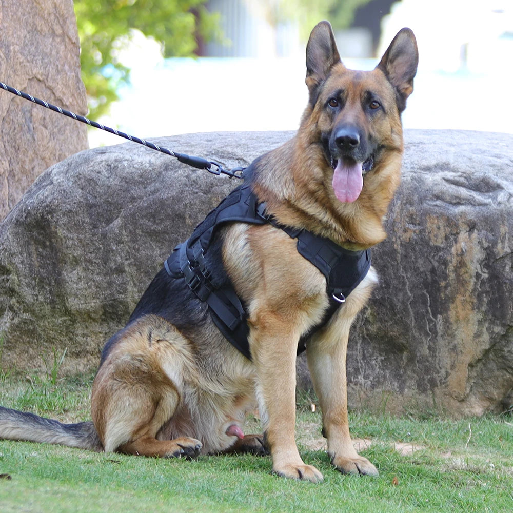 Arnés táctico para perro, chaleco de entrenamiento militar, arnés para mascotas para perros de servicio medianos, grandes y grandes