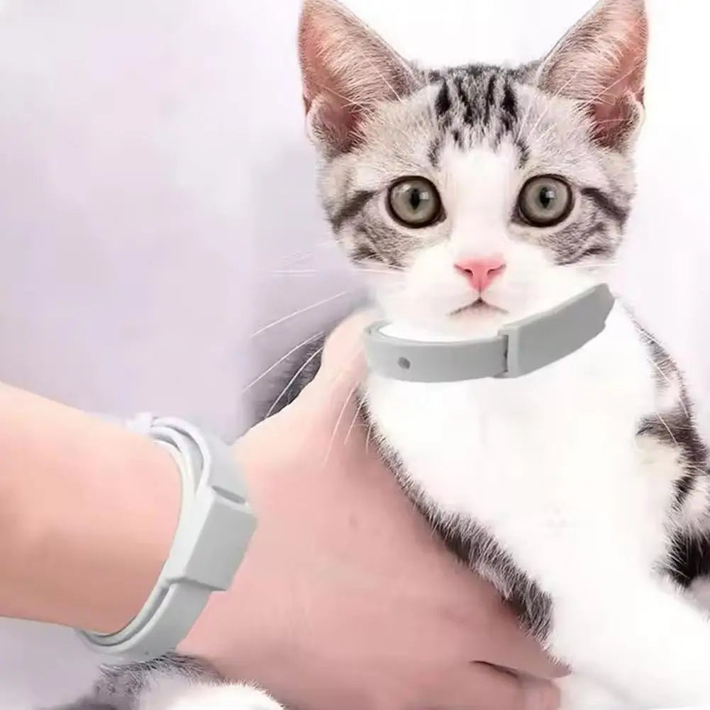 Adjustable Flea Tick Collar For Cats Dogs Anti Flea Lice Pet Repellent Collar Safe Non Toxic For Small Dogs Cats Kittens Puppies