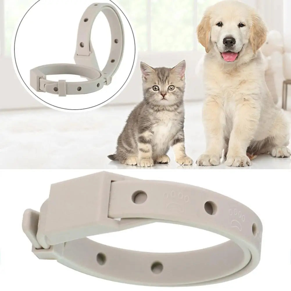 Adjustable Flea Tick Collar For Cats Dogs Anti Flea Lice Pet Repellent Collar Safe Non Toxic For Small Dogs Cats Kittens Puppies