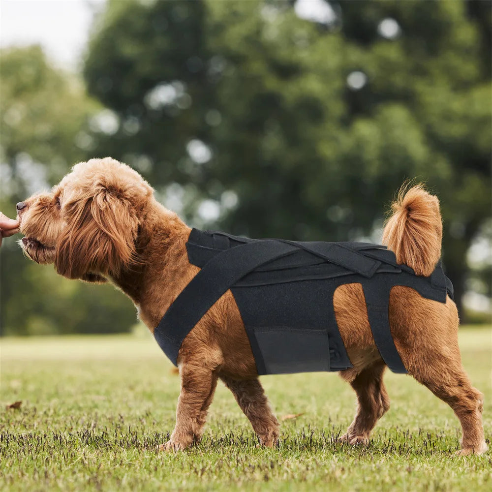 Lima de uñas eléctrica para perros USB recargable, cortauñas y limador de garras para mascotas sin dolor