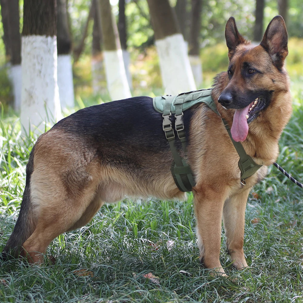 Arnés táctico para perro, chaleco de entrenamiento militar, arnés para mascotas para perros de servicio medianos, grandes y grandes