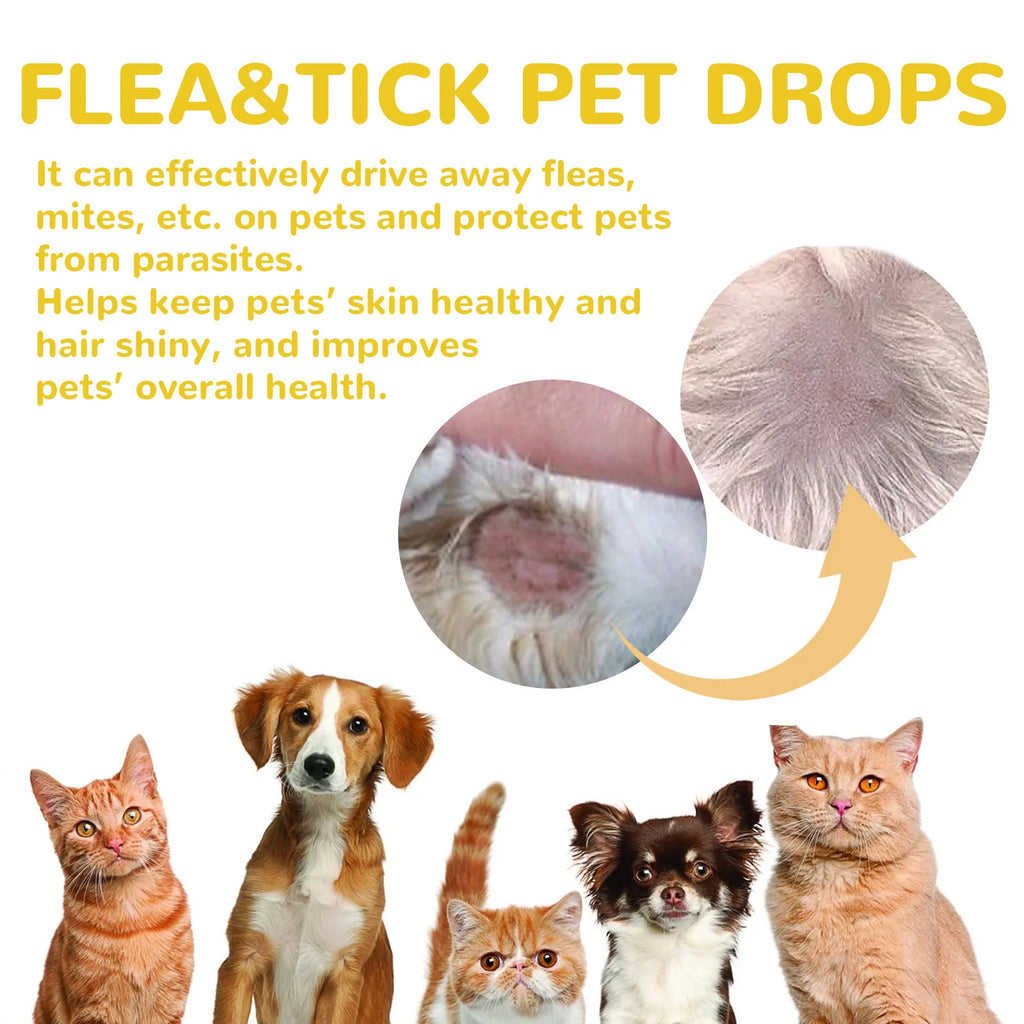 Gotas antipulgas para gatos, elimina pulgas y piojos, alivia la picazón de la piel, repelente de insectos externo, suministros de desparasitación, gotas para el tratamiento de garrapatas en mascotas