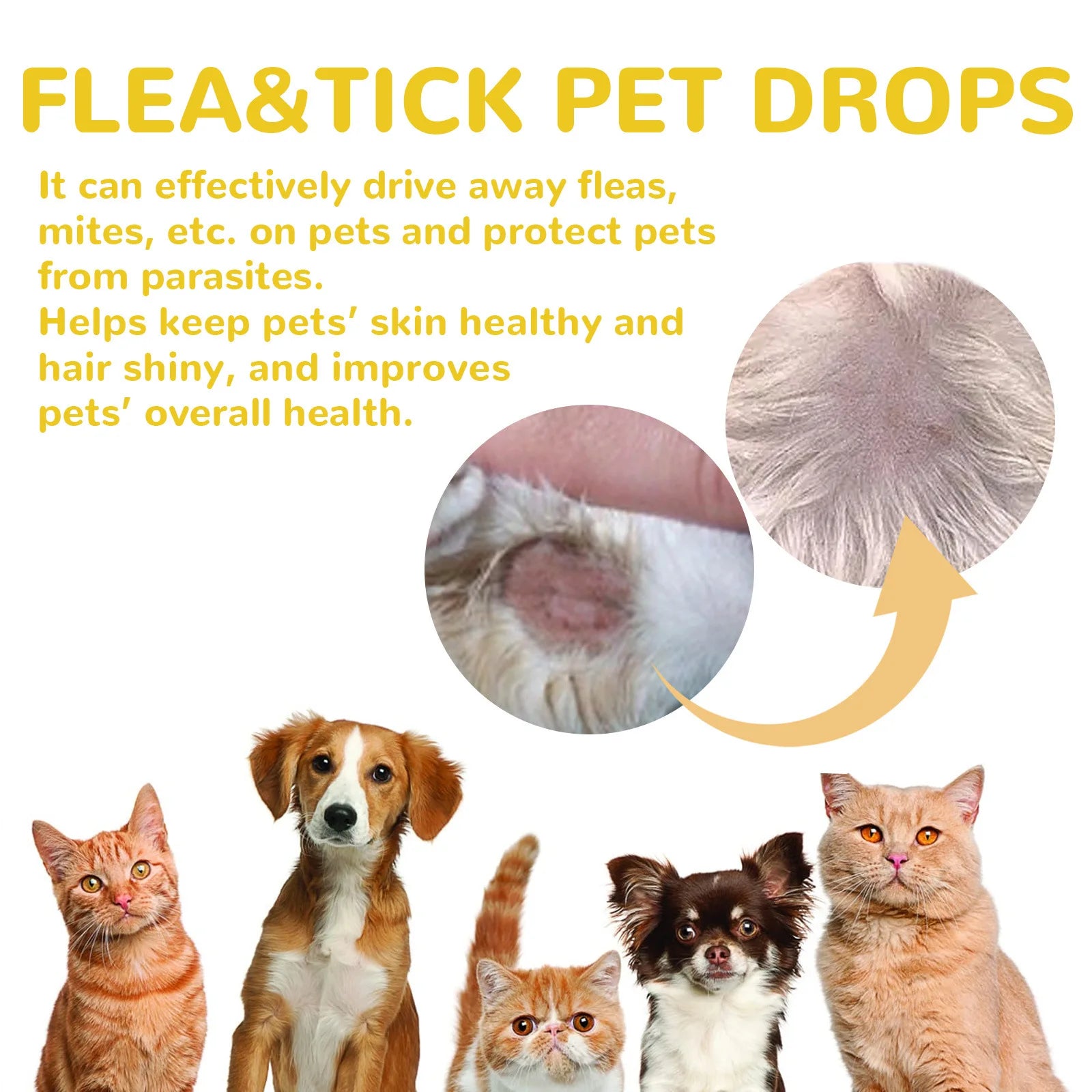 Gotas antipulgas para gatos, elimina pulgas y piojos, alivia la picazón de la piel, repelente de insectos externo, suministros de desparasitación, gotas para el tratamiento de garrapatas en mascotas