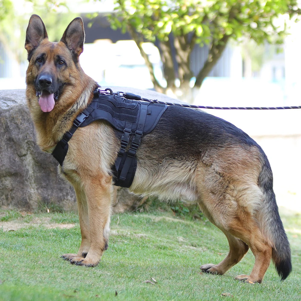 Arnés táctico para perro, chaleco de entrenamiento militar, arnés para mascotas para perros de servicio medianos, grandes y grandes