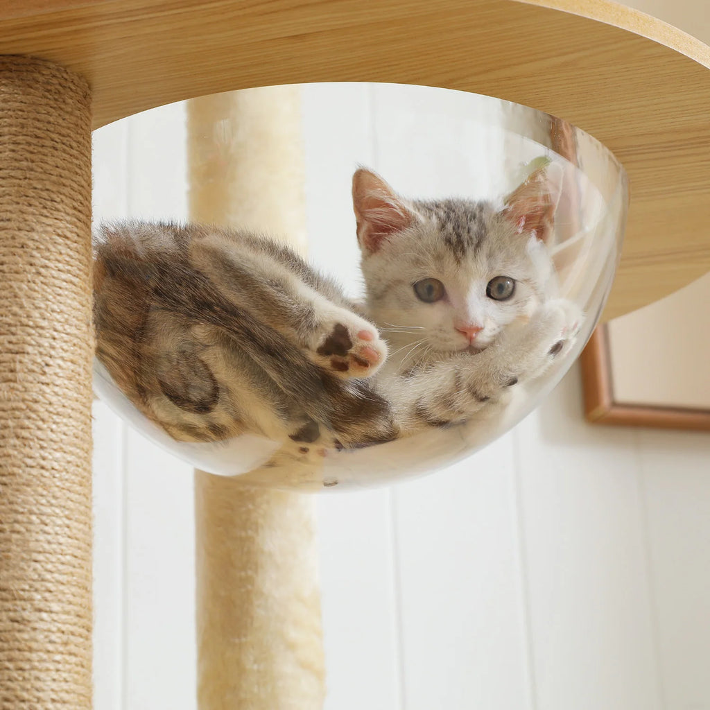 Árbol para Gatos de Varios Niveles, Torre de Madera para Gatos de Interior con Rascadores, Amplio Condominio, Hamaca, Plataforma Superior y Rascador para Gatos, Juguetes para Gatos