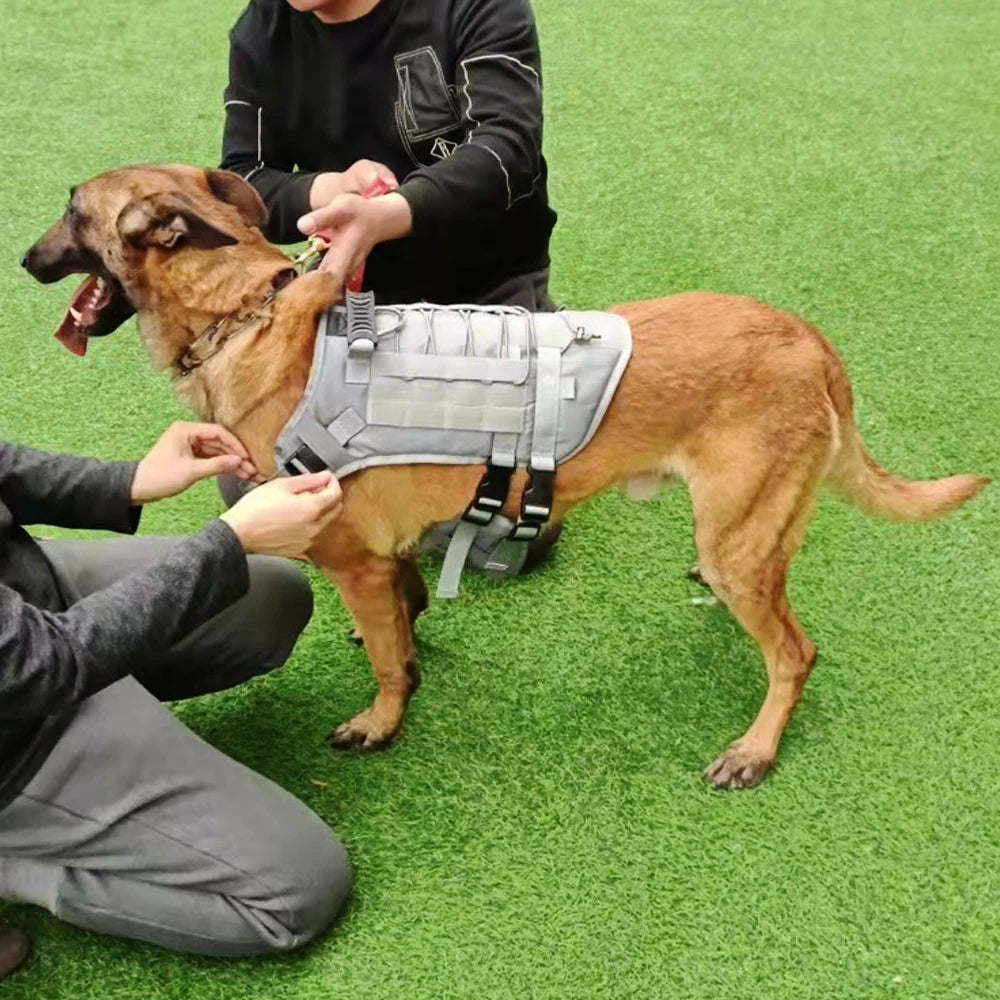 Arnés táctico para perro, chaleco de entrenamiento militar, arnés para mascotas para perros de servicio medianos, grandes y grandes
