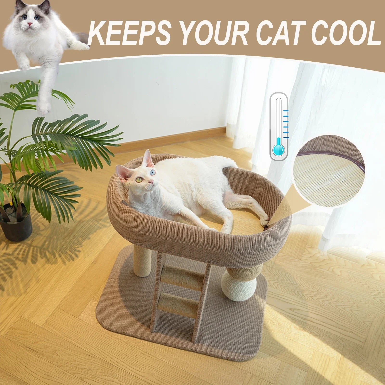 Rascador de Gatos Pequeño y Bonito, Adecuado para Gatos y Gatitos de Interior, Tabla Rascadora de Sisal con Hábitat de Cama de Peluche y Escalera Auxiliar para Trepar