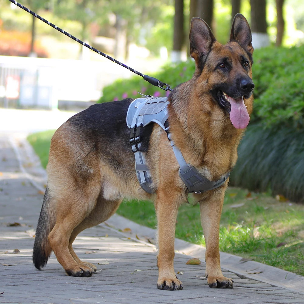 Arnés táctico para perro, chaleco de entrenamiento militar, arnés para mascotas para perros de servicio medianos, grandes y grandes
