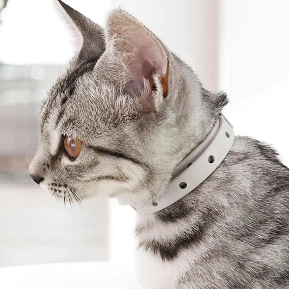 Adjustable Flea Tick Collar For Cats Dogs Anti Flea Lice Pet Repellent Collar Safe Non Toxic For Small Dogs Cats Kittens Puppies