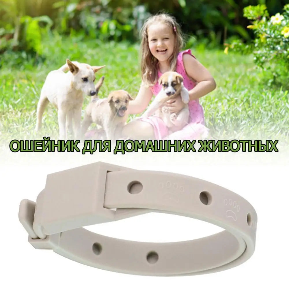 Adjustable Flea Tick Collar For Cats Dogs Anti Flea Lice Pet Repellent Collar Safe Non Toxic For Small Dogs Cats Kittens Puppies