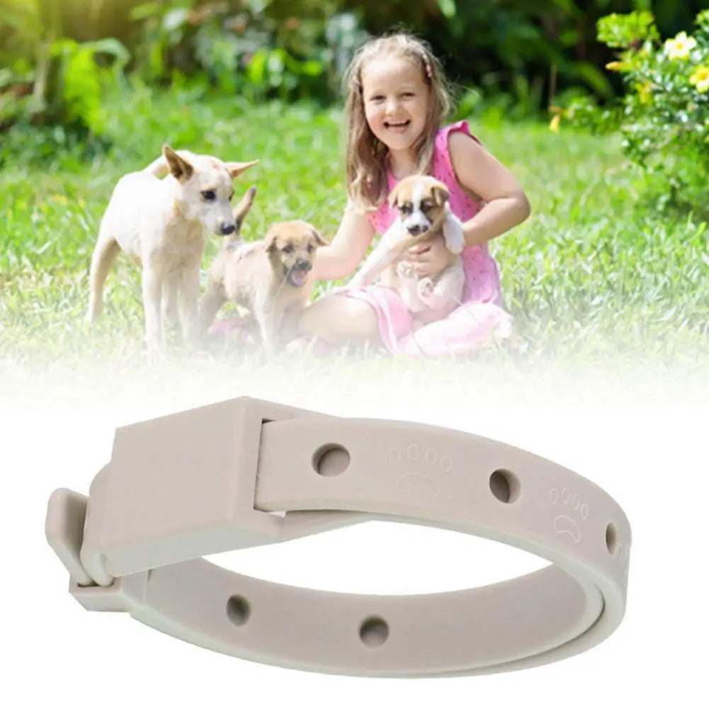 Adjustable Flea Tick Collar For Cats Dogs Anti Flea Lice Pet Repellent Collar Safe Non Toxic For Small Dogs Cats Kittens Puppies