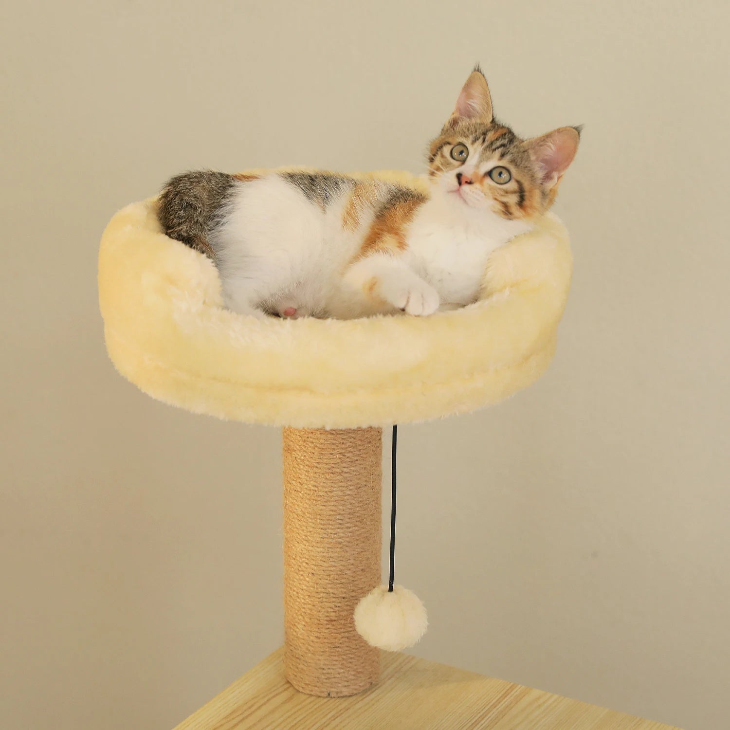 Árbol para Gatos de Varios Niveles, Torre de Madera para Gatos de Interior con Rascadores, Amplio Condominio, Hamaca, Plataforma Superior y Rascador para Gatos, Juguetes para Gatos