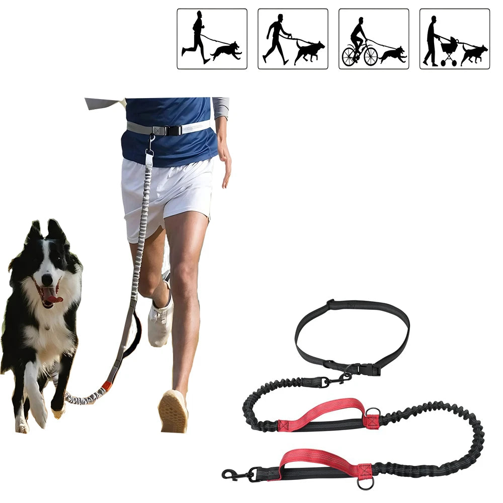 Lima de uñas eléctrica para perros USB recargable, cortauñas y limador de garras para mascotas sin dolor